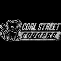 GLT102 SILVER GLITTER Thumbnail