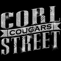 GLT57 SILVER GLITTER Thumbnail