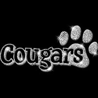 GLT17   SILVER GLITTER Thumbnail